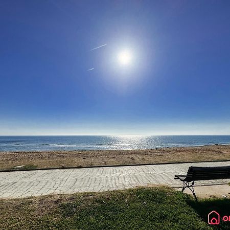 Bello Horizonte أوروبيسا ذيل مار المظهر الخارجي الصورة