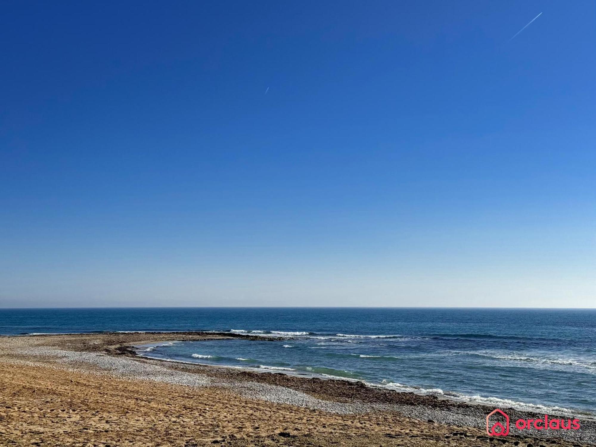 Bello Horizonte أوروبيسا ذيل مار المظهر الخارجي الصورة