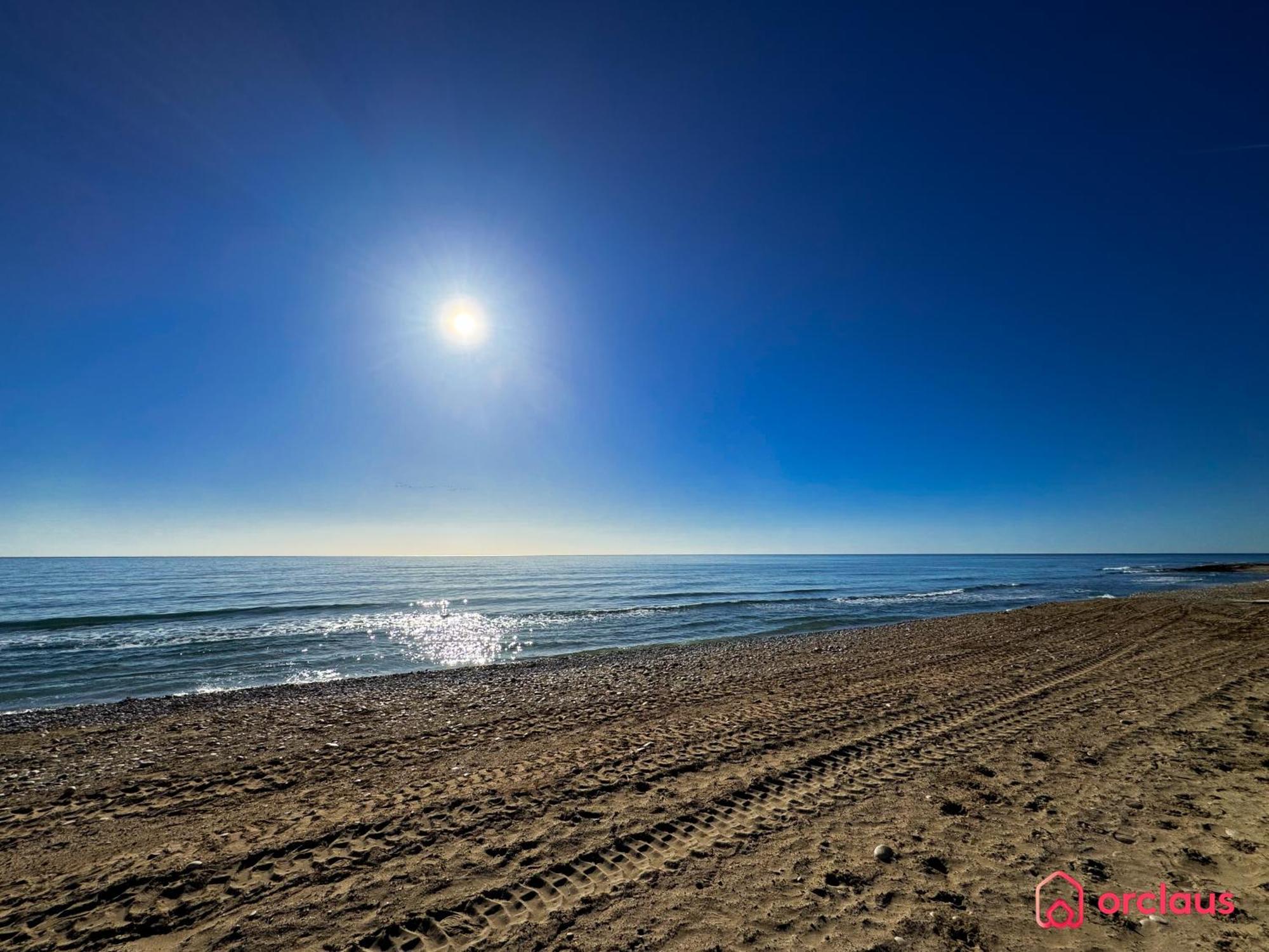 Bello Horizonte أوروبيسا ذيل مار المظهر الخارجي الصورة