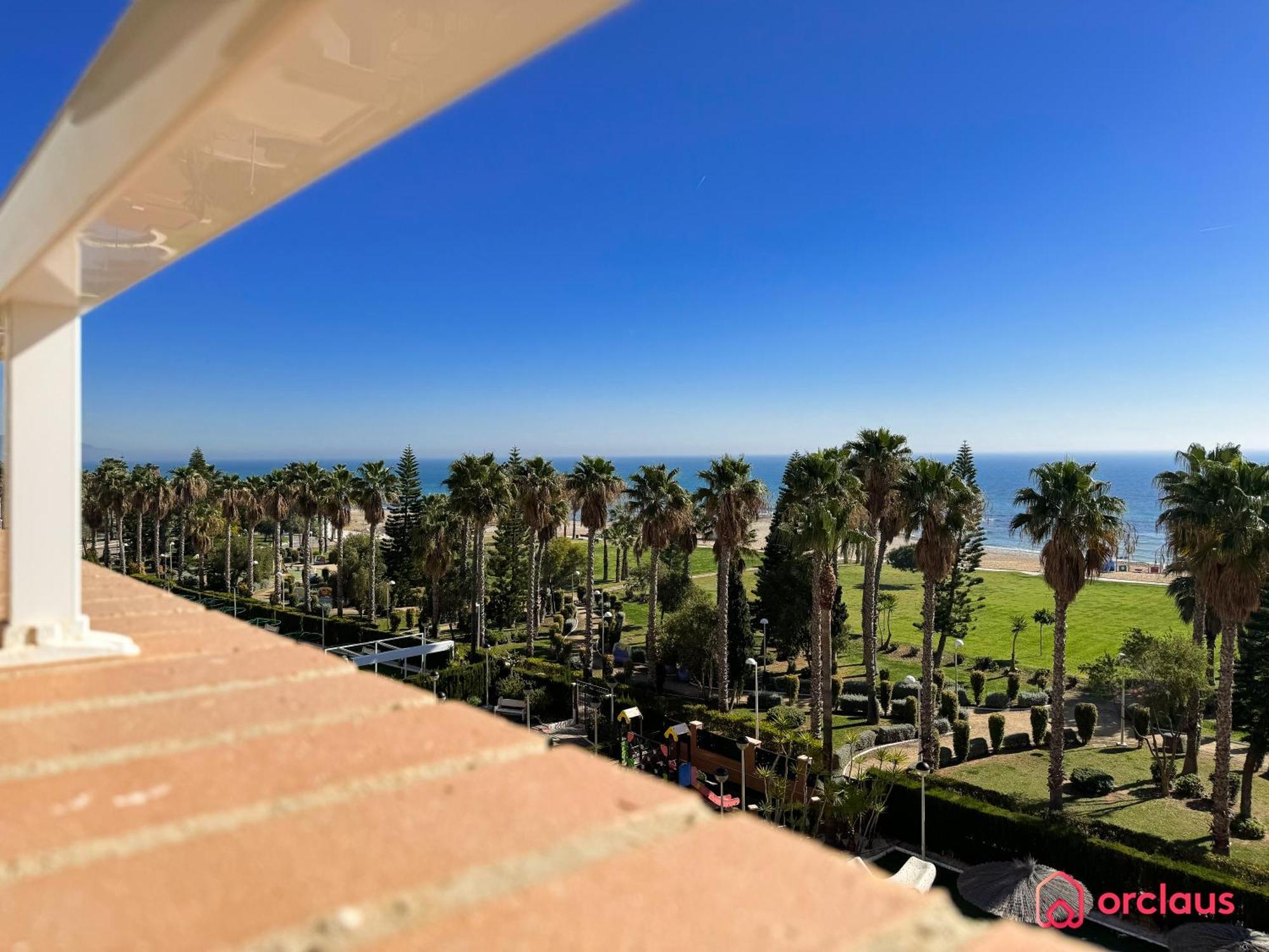 Bello Horizonte أوروبيسا ذيل مار المظهر الخارجي الصورة