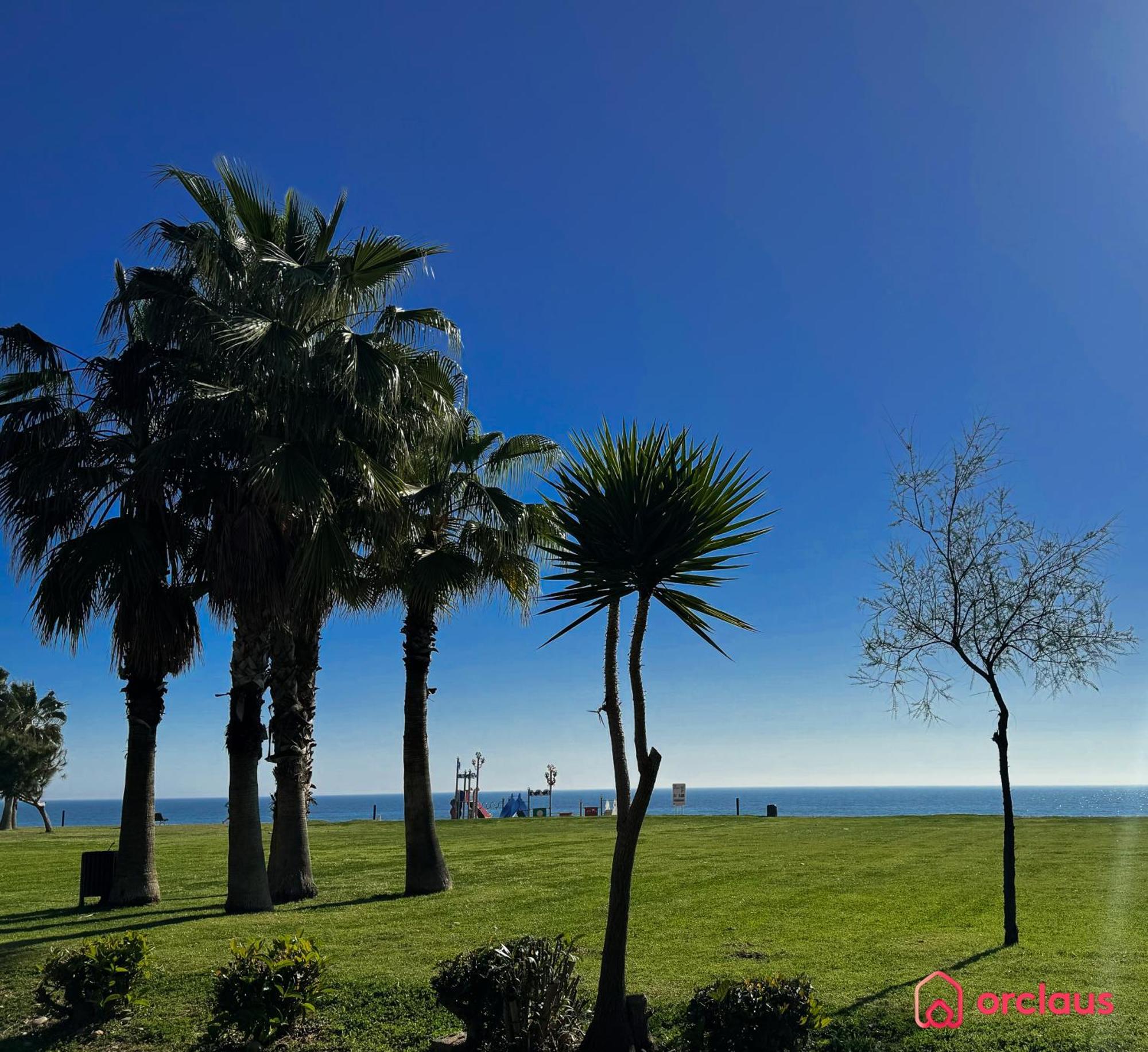 Bello Horizonte أوروبيسا ذيل مار المظهر الخارجي الصورة