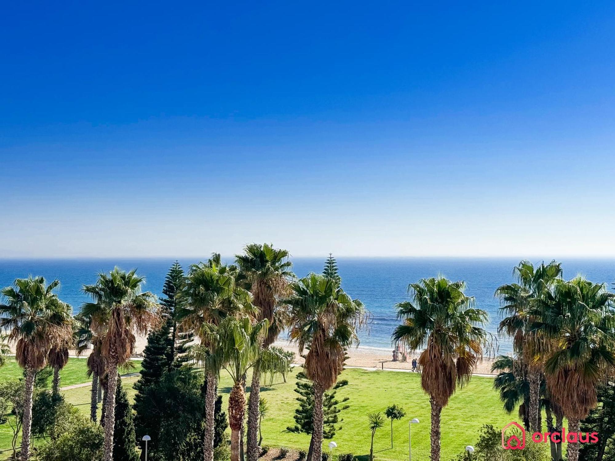 Bello Horizonte أوروبيسا ذيل مار المظهر الخارجي الصورة