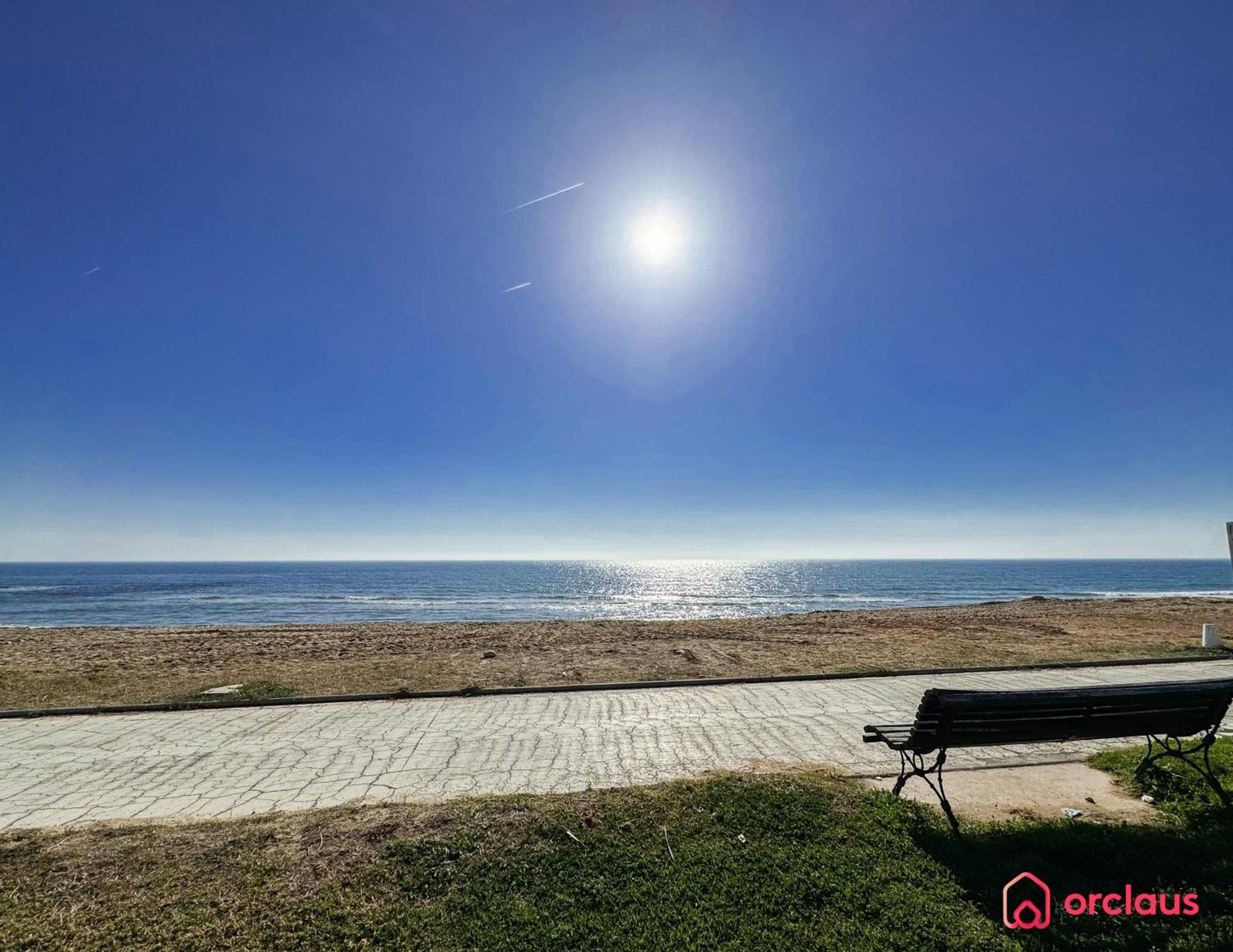 Bello Horizonte أوروبيسا ذيل مار المظهر الخارجي الصورة